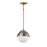 Maxim Duke 1 Light Pendant