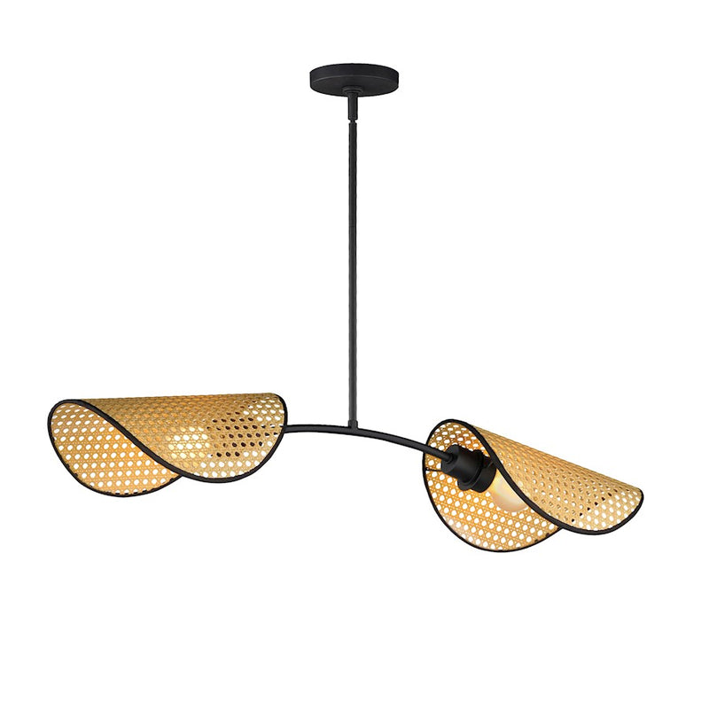 Maxim Lighting Bonnet 2 Light Linear Pendant, Black