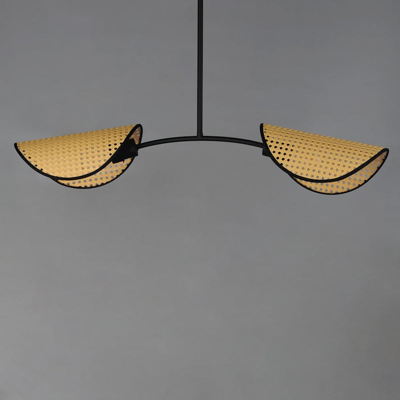 Maxim Lighting Bonnet 2 Light Linear Pendant, Black