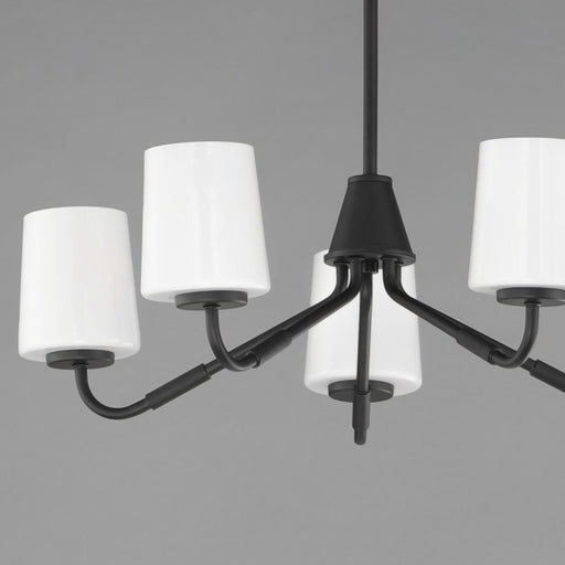 Maxim Lighting Durham 5 Light Single-Tier Chandelier, Black/White