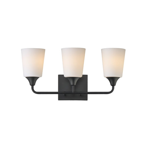 Maxim Lighting Hudson 3 Light 9.75" Bath Vanity, Black/Satin White - 12883SWBK