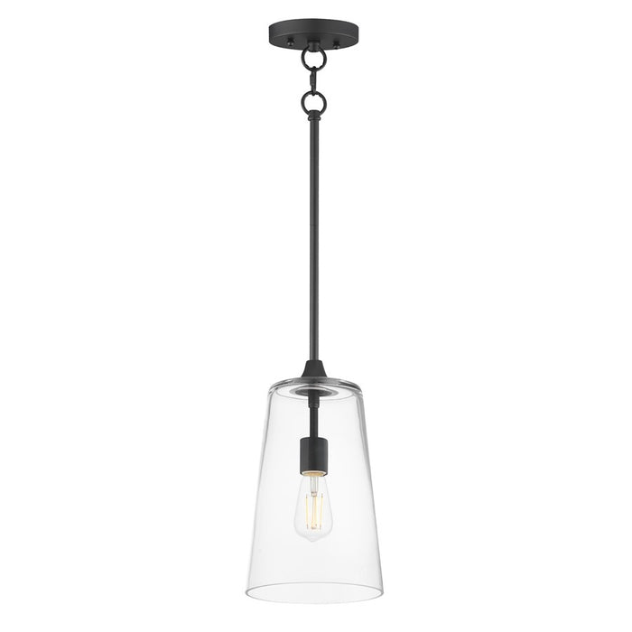 Maxim Lighting Hudson 1 Light 14.5" Single Pendant, Black/Clear - 12886CLBK