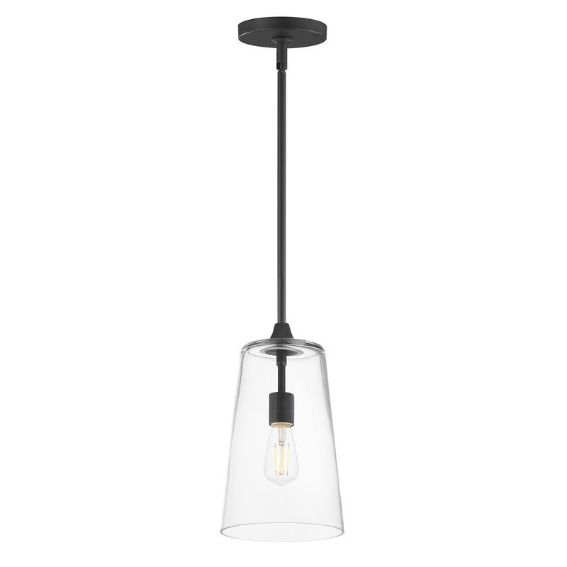 Maxim Lighting Hudson 1 Light 14.5" Single Pendant, Black/Clear