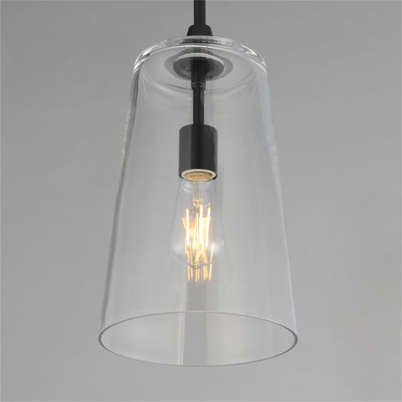 Maxim Lighting Hudson 1 Light 14.5" Single Pendant, Black/Clear