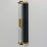 Maxim Lighting Opulent 2 Light 20" Outdoor Sconce, Black/Brass/Ribbed