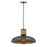 Maxim Lighting Bingham 1 Light Large Pendant, June Bug