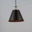 Maxim Lighting Trestle 1-Light Pendant, Oil Rubbed Bronze/Brass