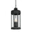 Maxim Lighting Wright 3 Light Outdoor Pendant, Black Patina/Clear - 30229CLBKP