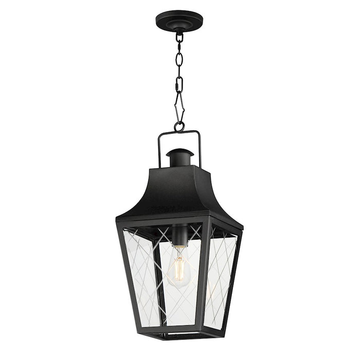 Maxim Lighting Storybook 1 Light Outdoor Pendant, Black/Clear - 30369CLBK