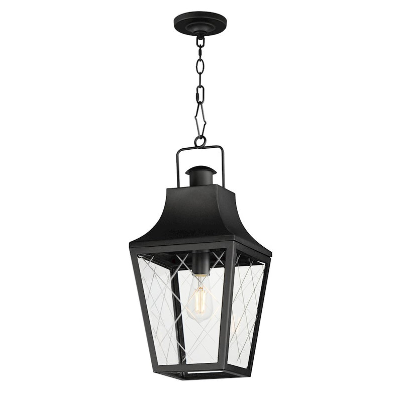 Maxim Lighting Storybook 1 Light Outdoor Pendant, Black/Clear