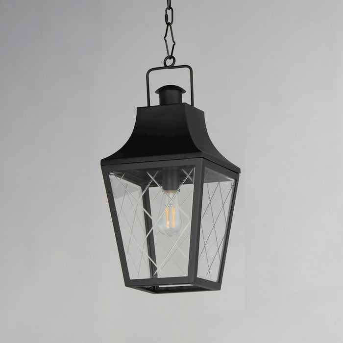 Maxim Lighting Storybook 1 Light Outdoor Pendant, Black/Clear