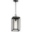 Maxim Lighting Cabana 1 Light Outdoor Hanging Pendant, Black/Seedy