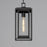 Maxim Lighting Cabana 1 Light Outdoor Hanging Pendant, Black/Seedy