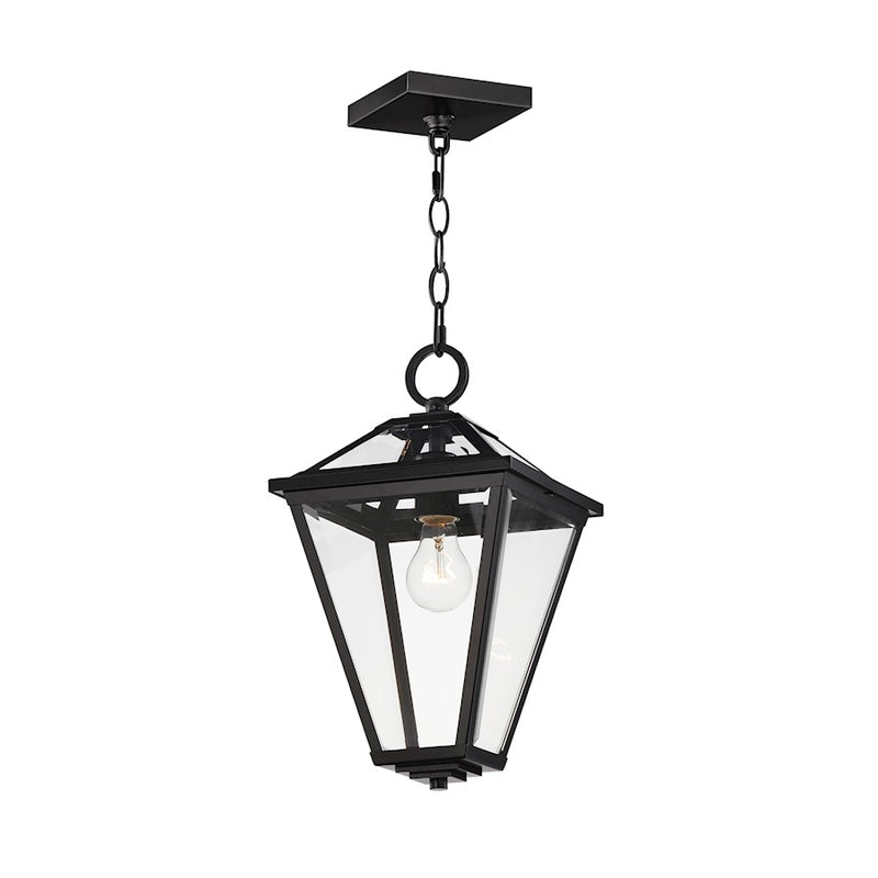 Maxim Lighting Prism 1 Light 16" Outdoor Pendant, Black/Clear