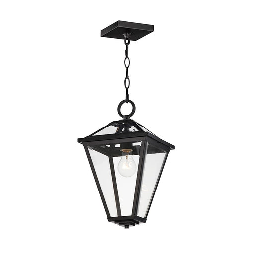 Maxim Lighting Prism 1 Light 16" Outdoor Pendant, Black/Clear