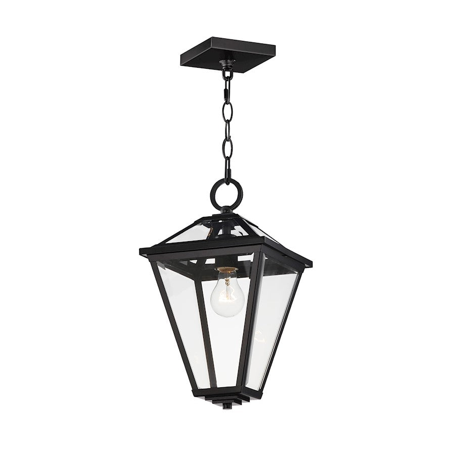 Maxim Lighting Prism 1 Light 16" Outdoor Pendant, Black/Clear