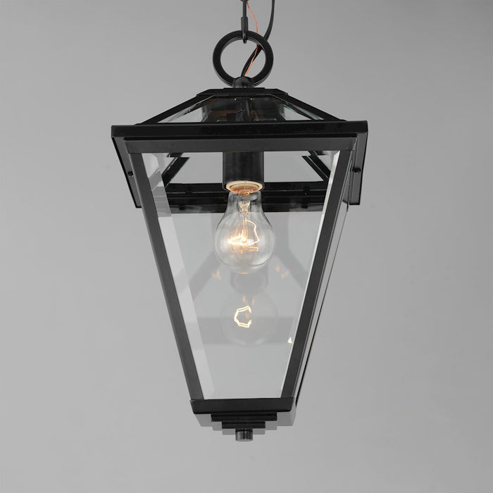 Maxim Lighting Prism 1 Light 16" Outdoor Pendant, Black/Clear