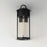 Maxim Lighting Windsor 1Lt Large Outdoor Sconce, Black Patina/Seedy