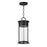 Maxim Lighting Windsor 1 Light Outdoor Pendant, Black Patina/Seedy - 30636CDBKP