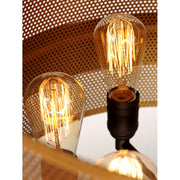 Maxim Lighting Caspian 8-Light Pendant, Oil Rubbed Bronze/Brass