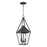 Maxim Lighting Bavaria 2 Light Large Outdoor Pendant, Black/Clear - 3168CLBK