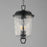 Maxim Prescott 3Lt Outdoor Pendant, Dark Bronze/Water Glass