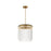 Maxim Lighting Jolie 1 Light 11" Pendant, Natural Aged Brass/Clear - 38421CLNAB