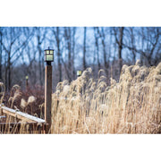 Maxim Coldwater 1-LT Outdoor Pole/Post Lantern Burnished
