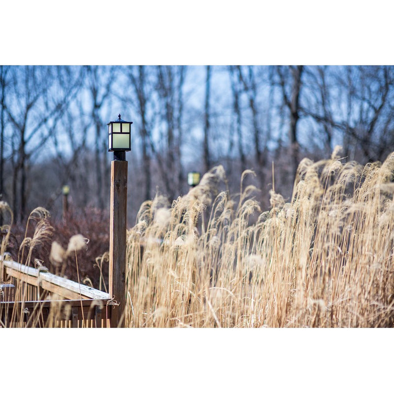 Maxim Coldwater 1-LT Outdoor Pole/Post Lantern Burnished