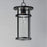 Maxim Lighting Clyde Vx 1 Light Outdoor Hanging Pendant, Black/Clear