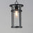 Maxim Lighting Clyde Vx 1 Light Outdoor Hanging Pendant, Black/Clear