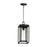 Maxim Lighting Cabana VX 1 Light Outdoor Hanging Pendant, BK/Seedy - 40669CDBK