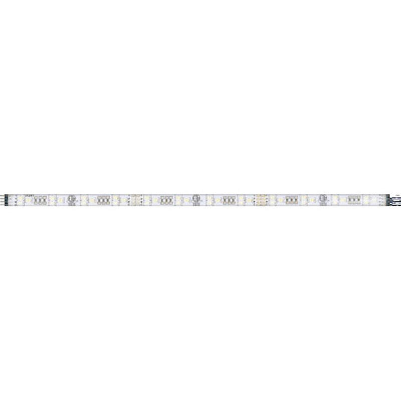 Maxim Color Flex 24V 29-50K 120'- 53553