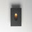Maxim Lighting Path 1Lt Outdoor Path Pin Hole Step Light, 3CCT, Black