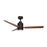 Maxim Lighting Falcon 1 Light Indoor Ceiling Fan, Black/Walnut - 88708BKWN