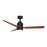 Maxim Lighting Falcon 1 Light Indoor Ceiling Fan, Black/Walnut