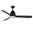 Maxim Lighting Seaborne 1 Light 15" Outdoor Ceiling Fan, Black - 88723BK