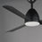 Maxim Lighting Seaborne 1 Light 15" Outdoor Ceiling Fan, Black