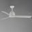 Maxim Lighting Seaborne 1 Light 15" Outdoor Ceiling Fan, Matte White