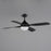 Maxim Lighting Bola 1 Light Indoor Ceiling Fan, Black