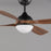 Maxim Lighting Bola 1 Light Indoor Ceiling Fan, Walnut/Black