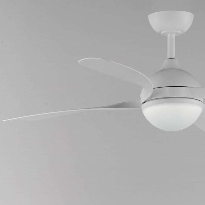 Maxim Lighting Bola 1 Light Indoor Ceiling Fan, White