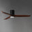 Maxim Lighting Woodwind 1Lt 10.5" Indoor Ceiling Fan, Black/White