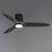 Maxim Lighting Woodwind 1Lt 10.5" Ceiling Fan, Blk/Grey/Wht