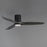 Maxim Lighting Woodwind 1Lt 10.5" Ceiling Fan, Blk/Grey/Wht