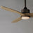 Maxim Lighting Woodwind 1Lt 52" Solid Wood Blade Fan/LED Kit, CBZ