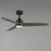 Maxim Lighting Woodwind 1Lt 52" Indoor Ceiling Fan, Blk/Grey//Wht