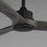Maxim Lighting Woodwind 1Lt 72" Indoor Ceiling Fan, Black/White