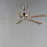 Maxim Lighting 52" Super Max Ceiling Fan Nickel, Satin Nickel