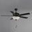 Maxim Lighting Super-Max 2Lt 20" Indoor Ceiling Fan, Black/White